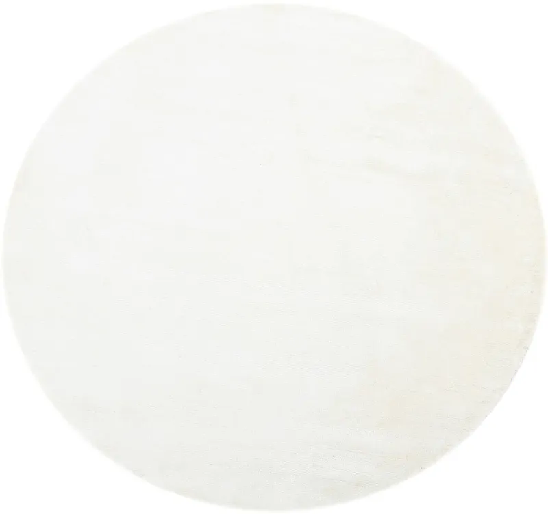 25-Silver Round/250x250