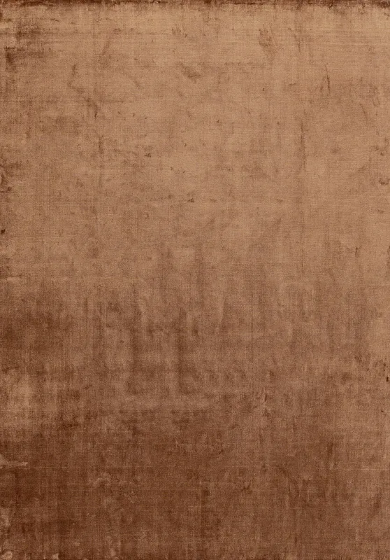 Индийский ковёр  (22-BROWN/350x250) 