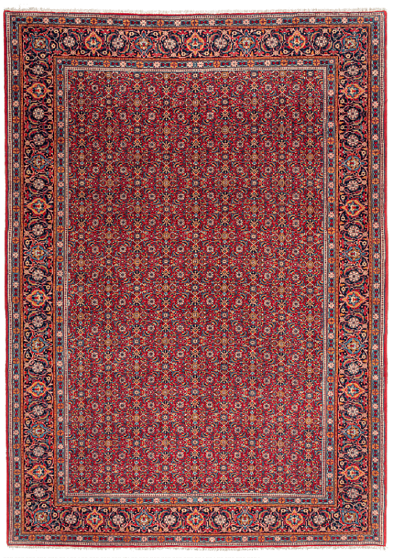 Иранский ковёр из шерсти (13-146/356x256)